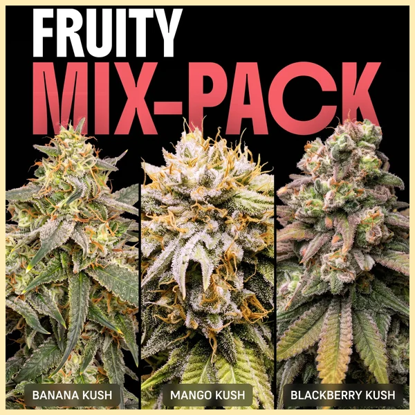 Fruity Mix Pack Weed Seeds featured image