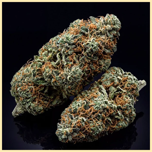 G13 Autoflower Seeds additional image 3