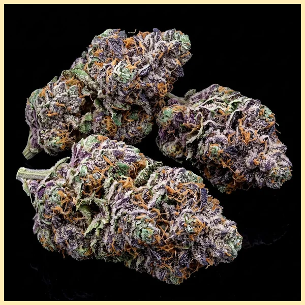 Galactic Runtz Feminized Seeds additional image 2