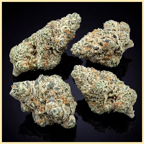 Gary Payton Autoflower Seeds additional image 2