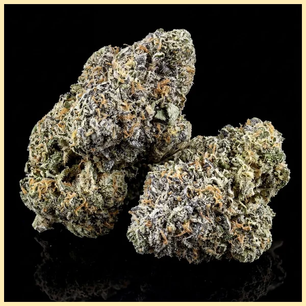 Gelato 41 x Vanilla Frosting Feminized Seeds additional image 2