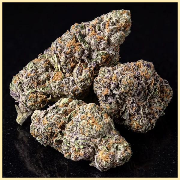 Gelato Sherbet Feminized Seeds additional image 2