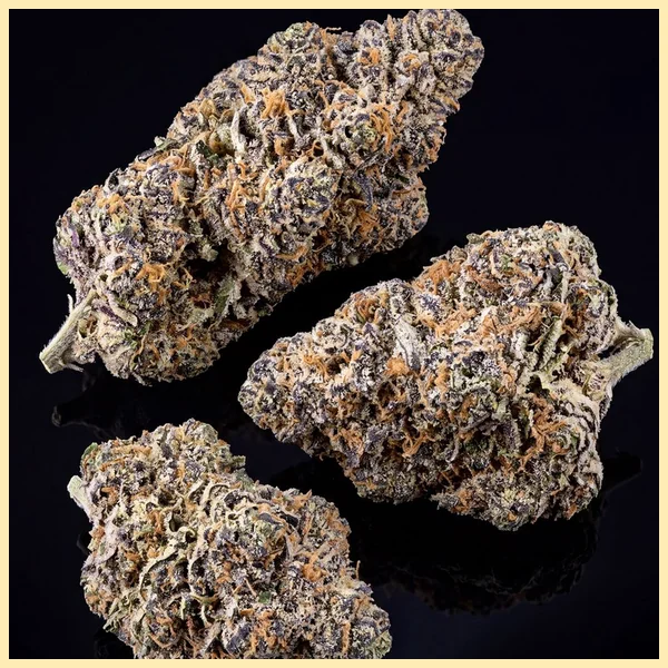 Gelonade Feminized Seeds additional image 2
