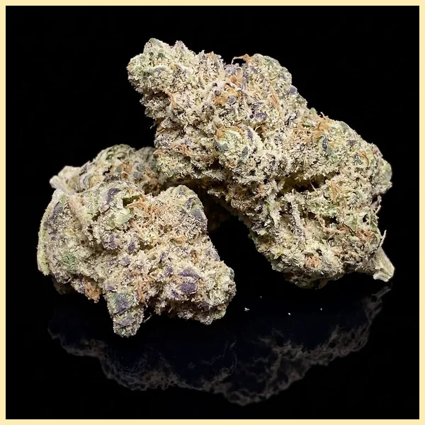GMO Cookies Autoflower Seeds additional image 2