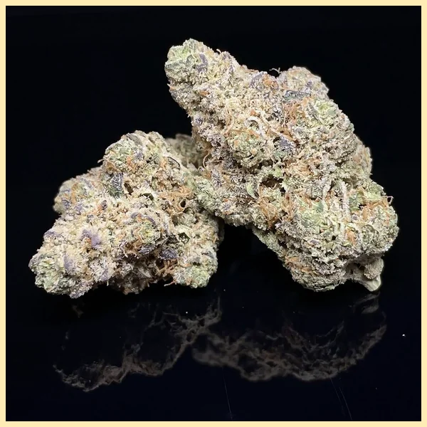 GMO Cookies Feminized Seeds additional image 2