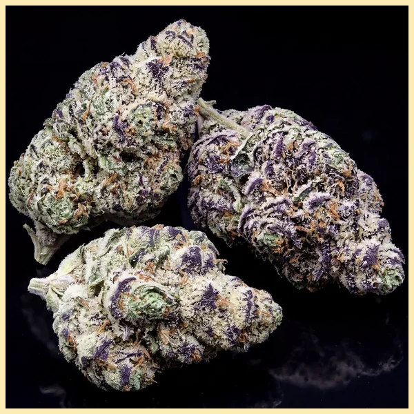 GMO x Double Burger Feminized Seeds additional image 2