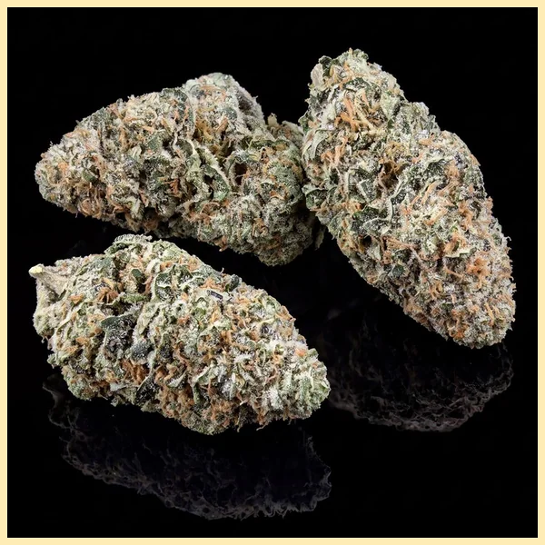 Gorilla Zkittlez Feminized Seeds additional image 2