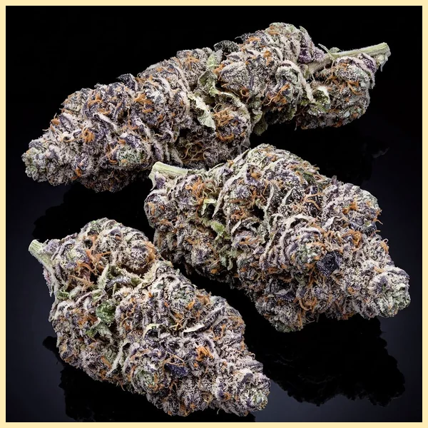 Grape Octane Feminized Seeds additional image 2