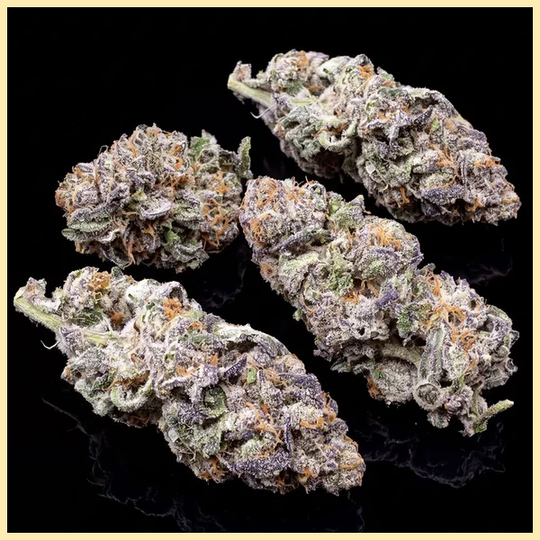 Grapericot Pie Feminized Seeds additional image 2