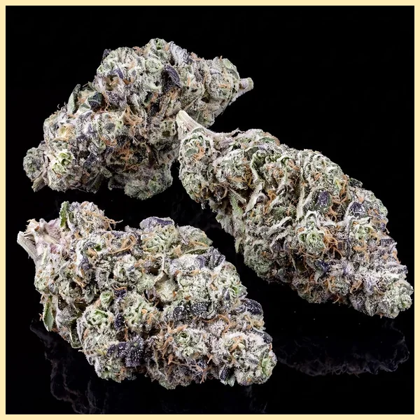 Gush Mints Feminized Seeds additional image 2