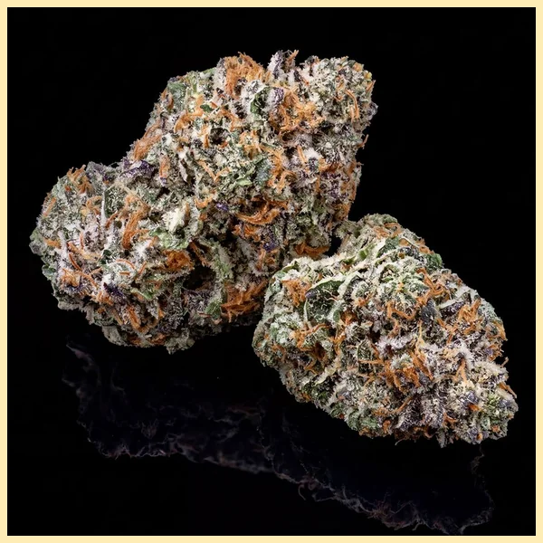 Gushers Autoflower Seeds additional image 2