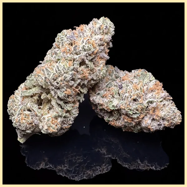 Gushers Feminized Seeds additional image 2