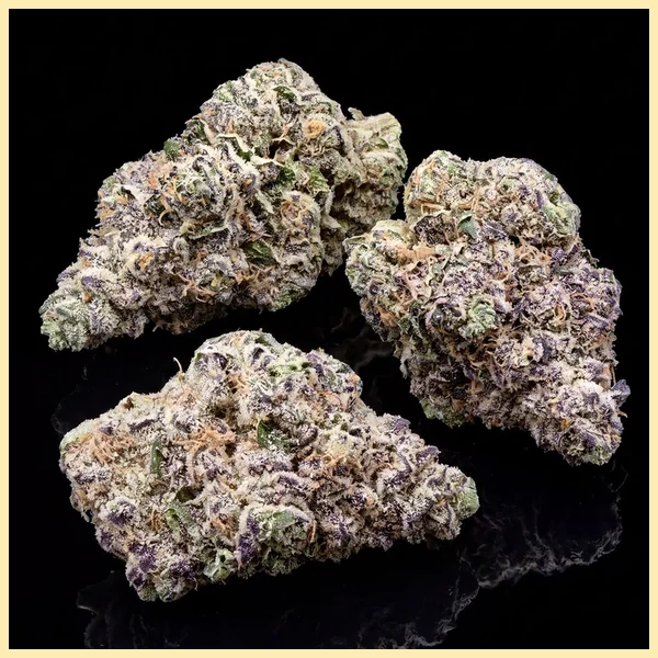 Hash Burger Feminized Seeds additional image 2