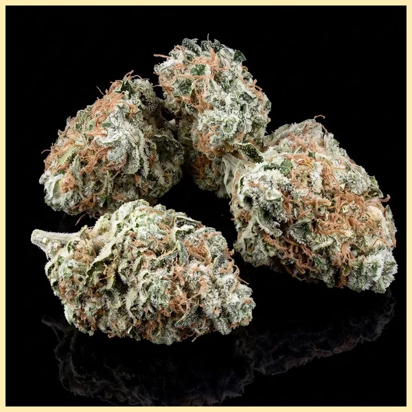Haze Autoflower Seeds additional image 2