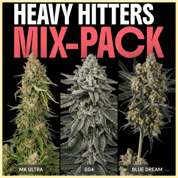 Heavy Hitters Mix Pack Weed Seeds featured image