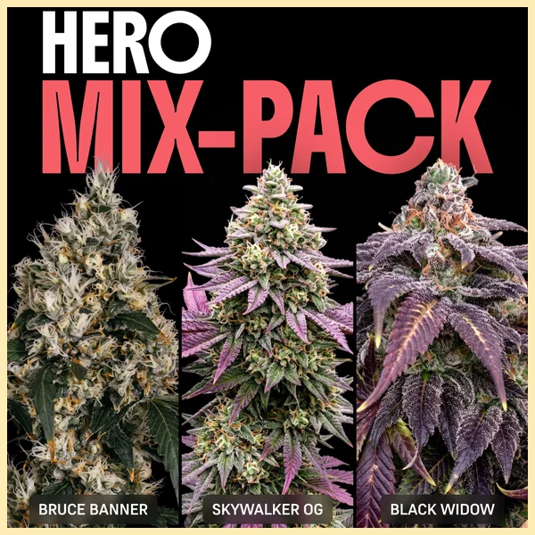 Hero Mix Pack Weed Seeds featured image