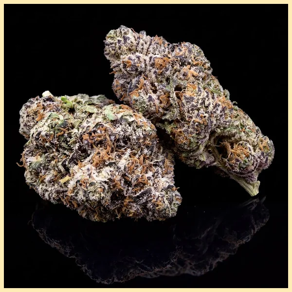 Ice Cream Cake X RS11 Feminized Seeds additional image 1