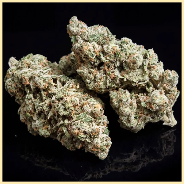 Jack Cookies Autoflower Seeds additional image 2