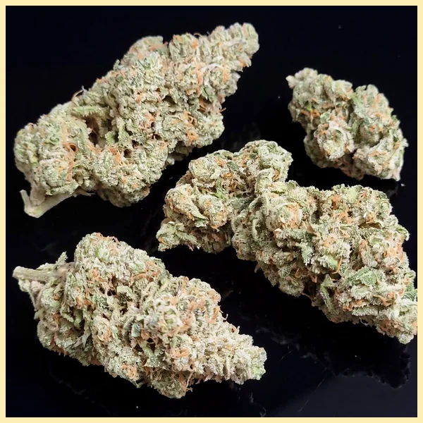 Jack Flash Feminized Seeds additional image 2