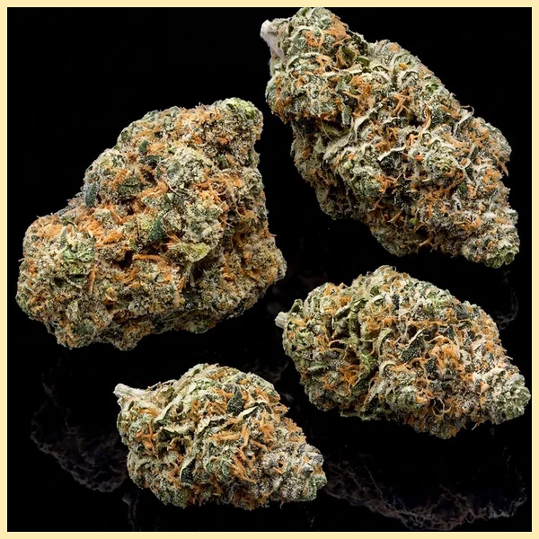 Jack Widow Feminized Seeds additional image 2