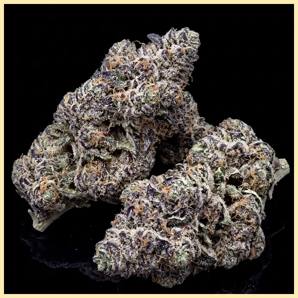 Jealousy Autoflower Seeds additional image 2
