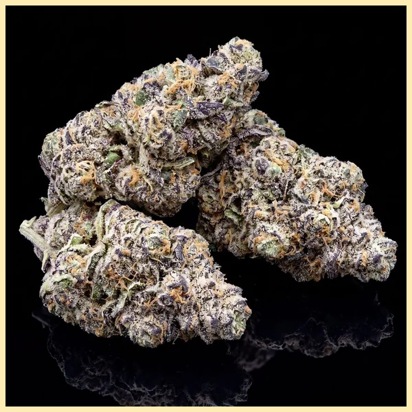 Jealousy Glue Feminized Seeds additional image 2