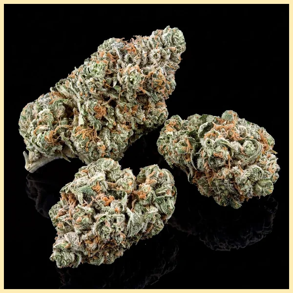 Killer Feminized Seeds additional image 2