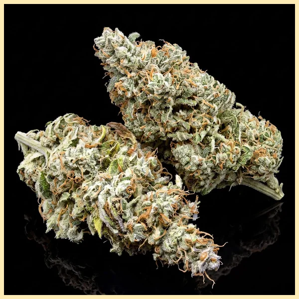 Lemon Autoflower Seeds additional image 2