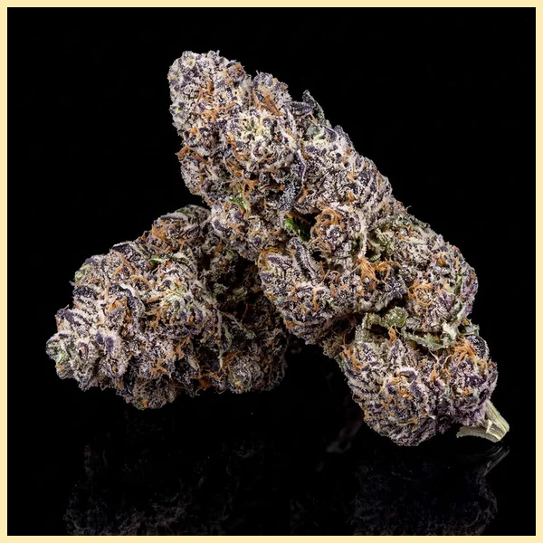 Lemon Cherry Gelato Feminized Seeds additional image 2