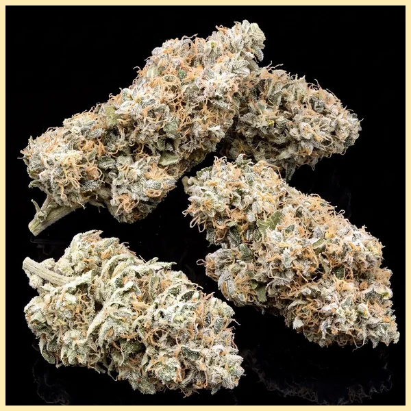 Lemon Haze Autoflower Seeds additional image 2