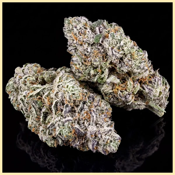 Lemon Pie Autoflower Seeds additional image 2