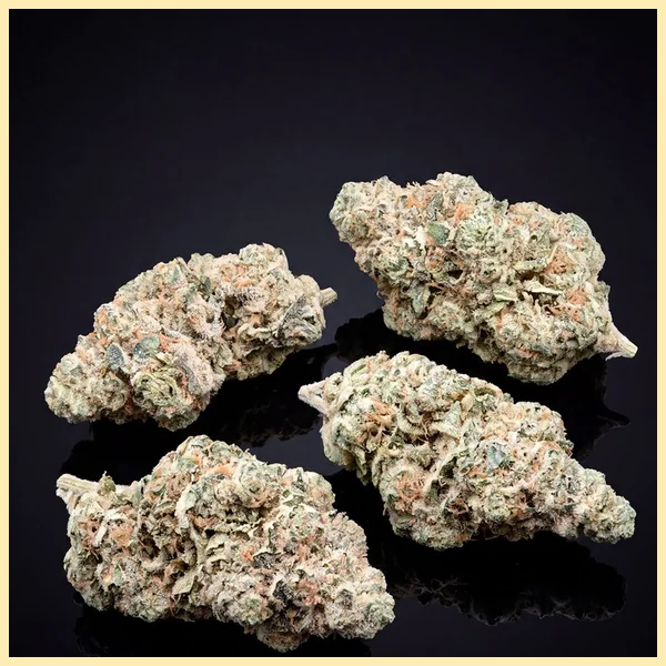 Limoncello Diesel Feminized Seeds additional image 2