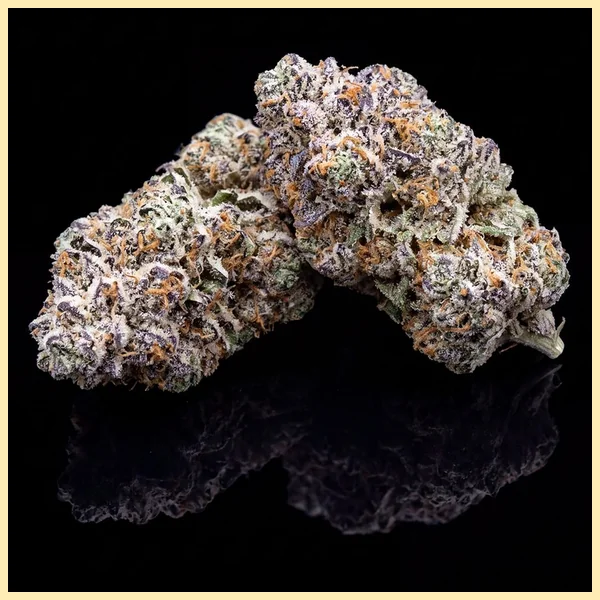 Mac 1 Feminized Seeds additional image 2