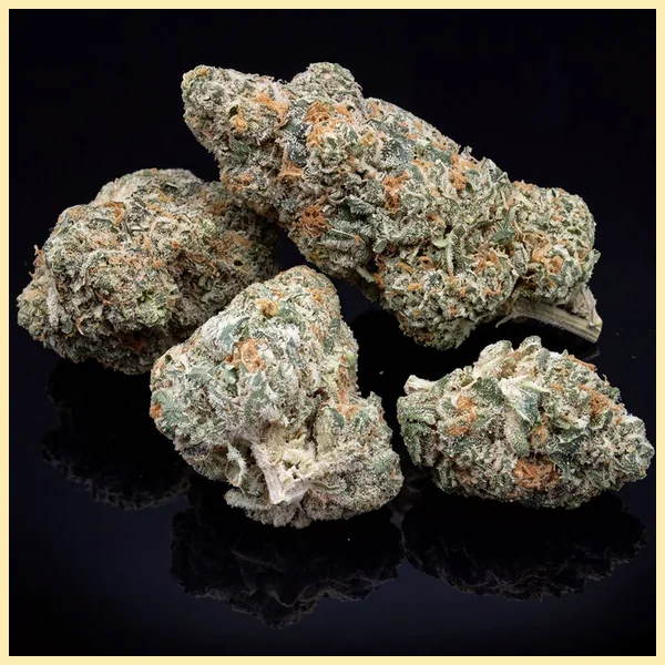 Mimosa Autoflower Seeds additional image 2