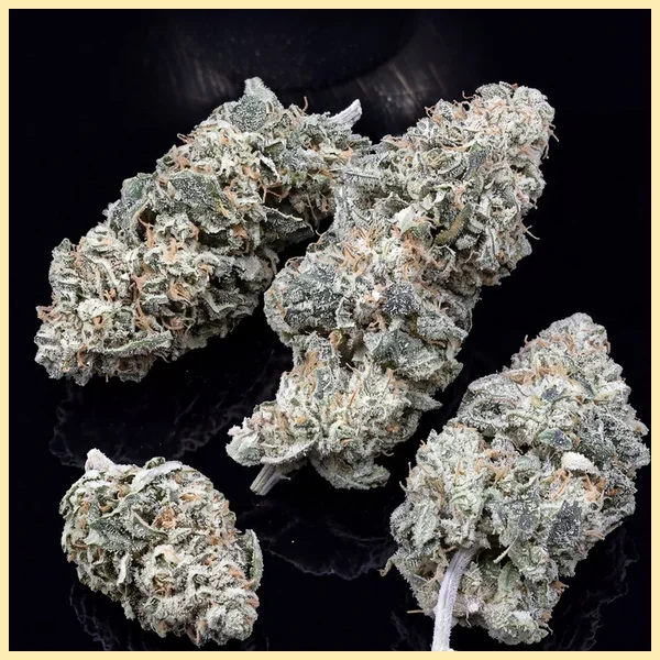 Northern Lights #10 x Amnesia Haze Feminized Seeds additional image 2