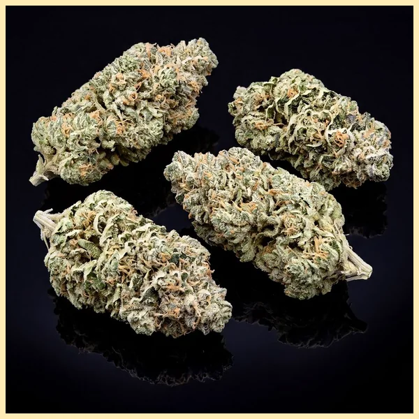 NYC Diesel Feminized Seeds additional image 2