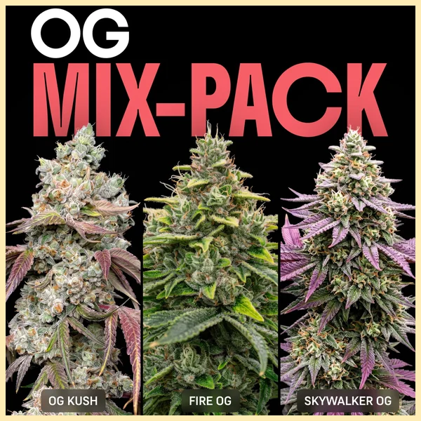 OG Mix Pack Weed Seeds featured image
