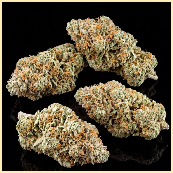 Orange x Skunk Feminized Seeds additional image 2