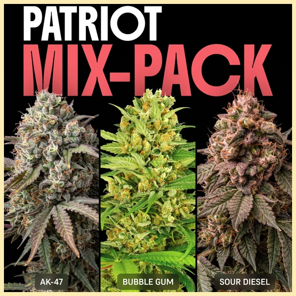 Patriot Mix Pack Weed Seeds featured image