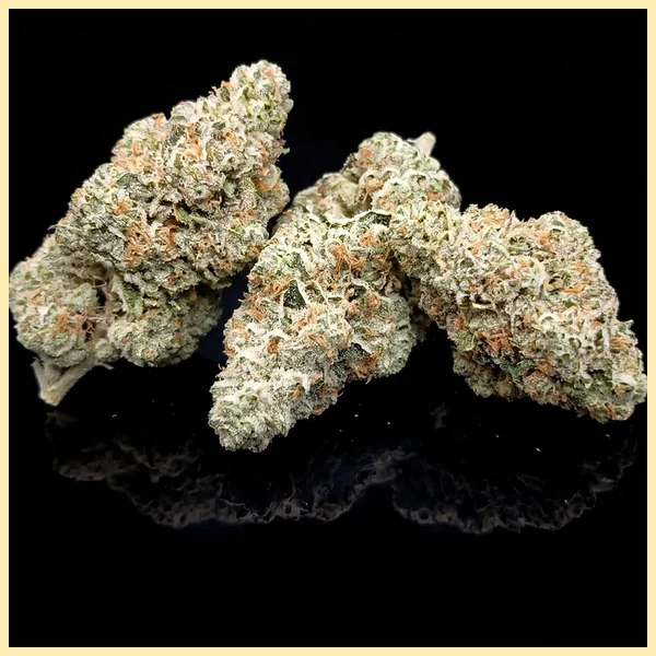 Peach Creshendo Feminized Seeds additional image 2