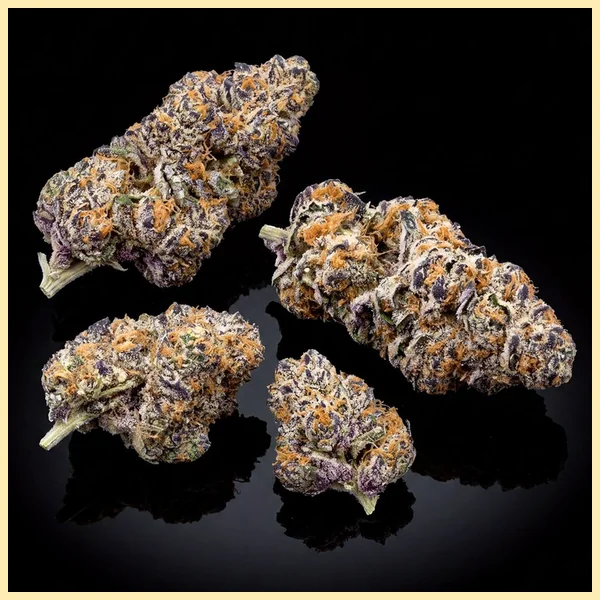 Peanut Butter Breath Autoflower Seeds additional image 2