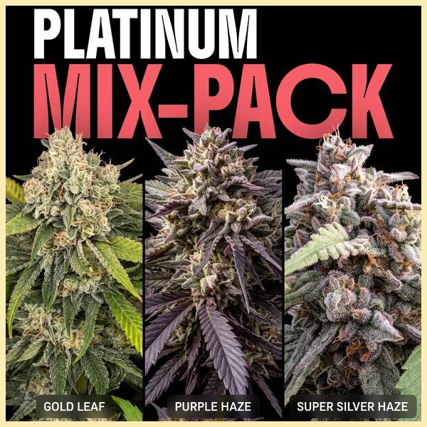 Platinum Mix Pack Weed Seeds featured image