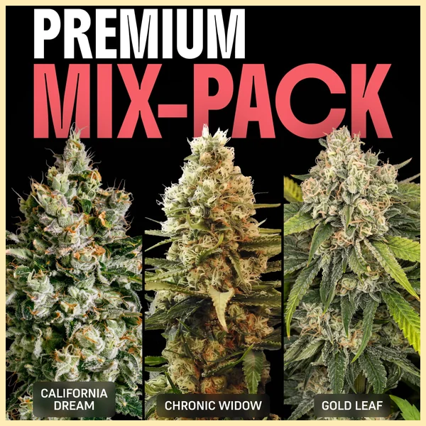 Premium Mix Pack Weed Seeds featured image