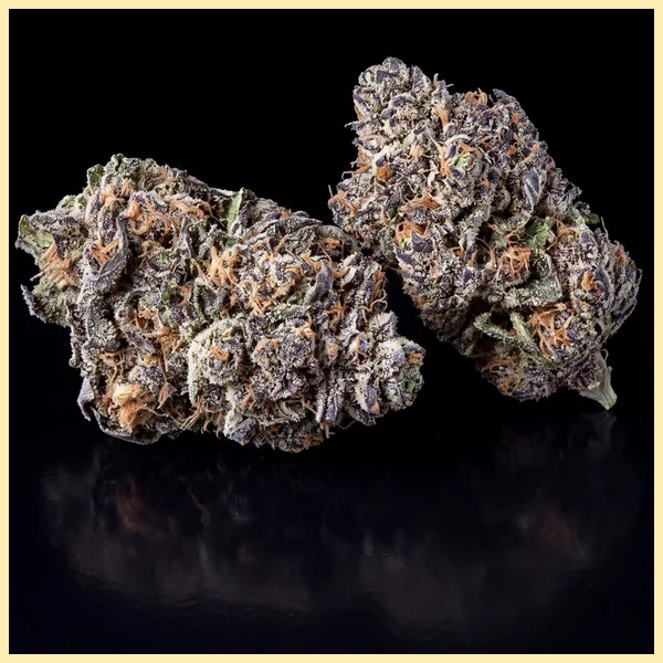 Pure Indica Feminized Seeds additional image 2