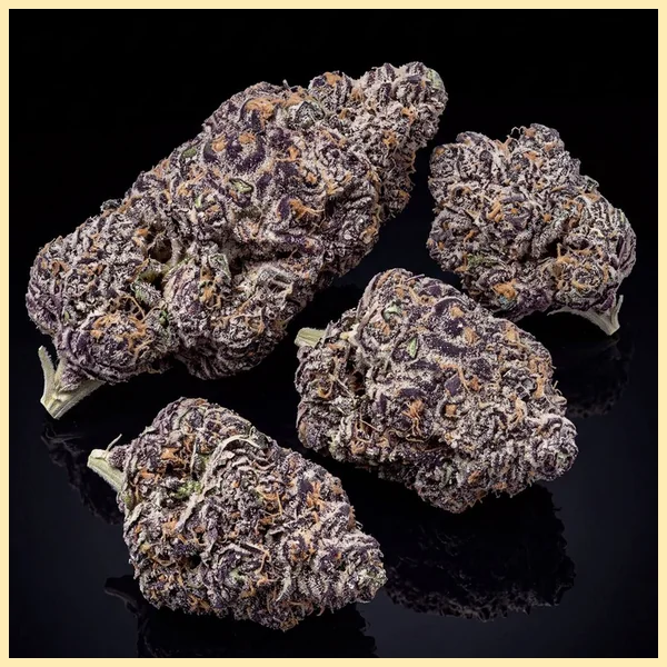 Purple Gelato Feminized Seeds additional image 2