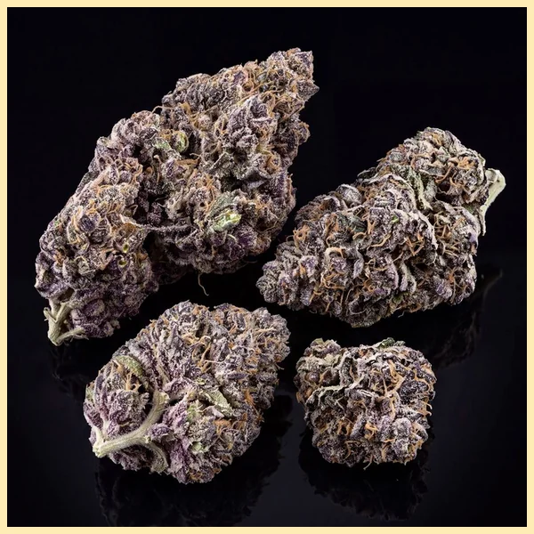 Rainbow Runtz Autoflower Seeds additional image 2