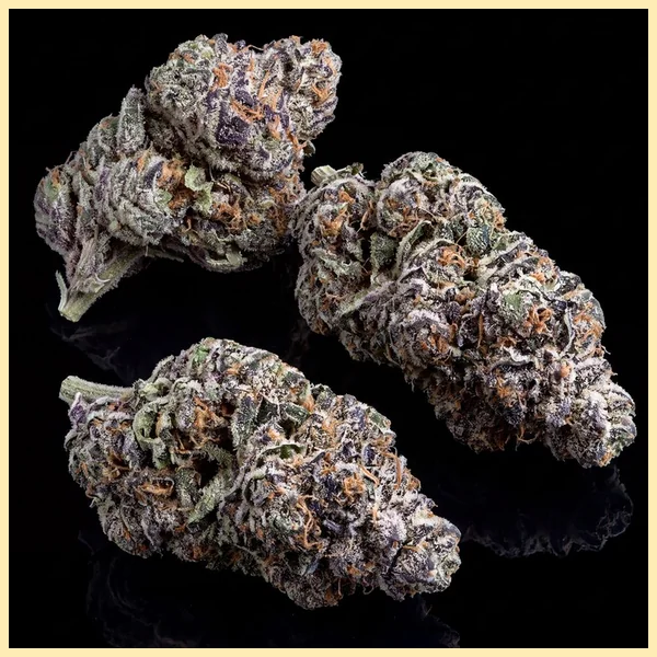 Runtz Feminized Seeds additional image 2
