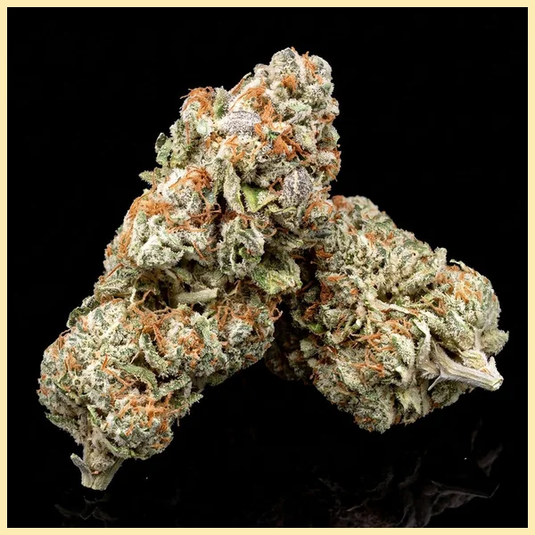 San Fernando Valley Feminized Seeds additional image 2