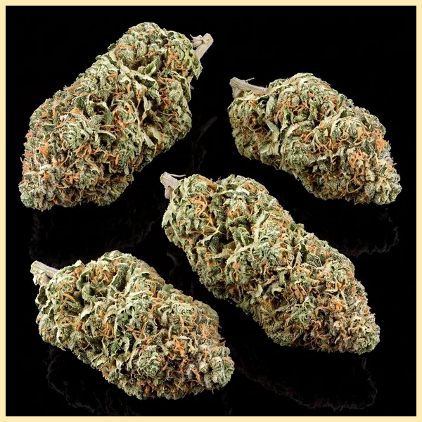 Sensi Skunk Feminized Seeds additional image 2