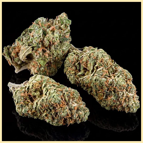 Shiva Skunk Feminized Seeds additional image 2